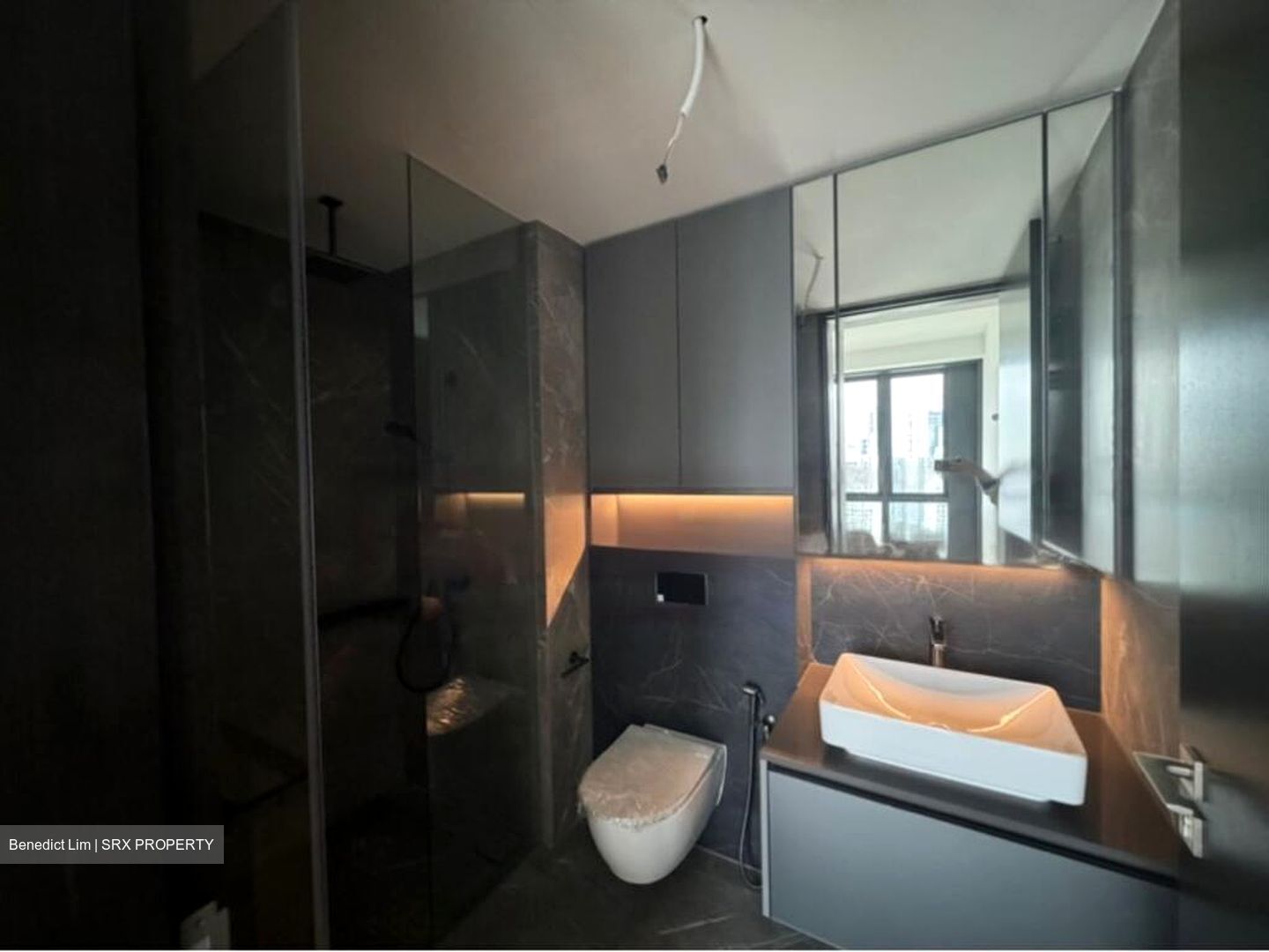 Irwell Hill Residences (D9), Apartment #449315761
